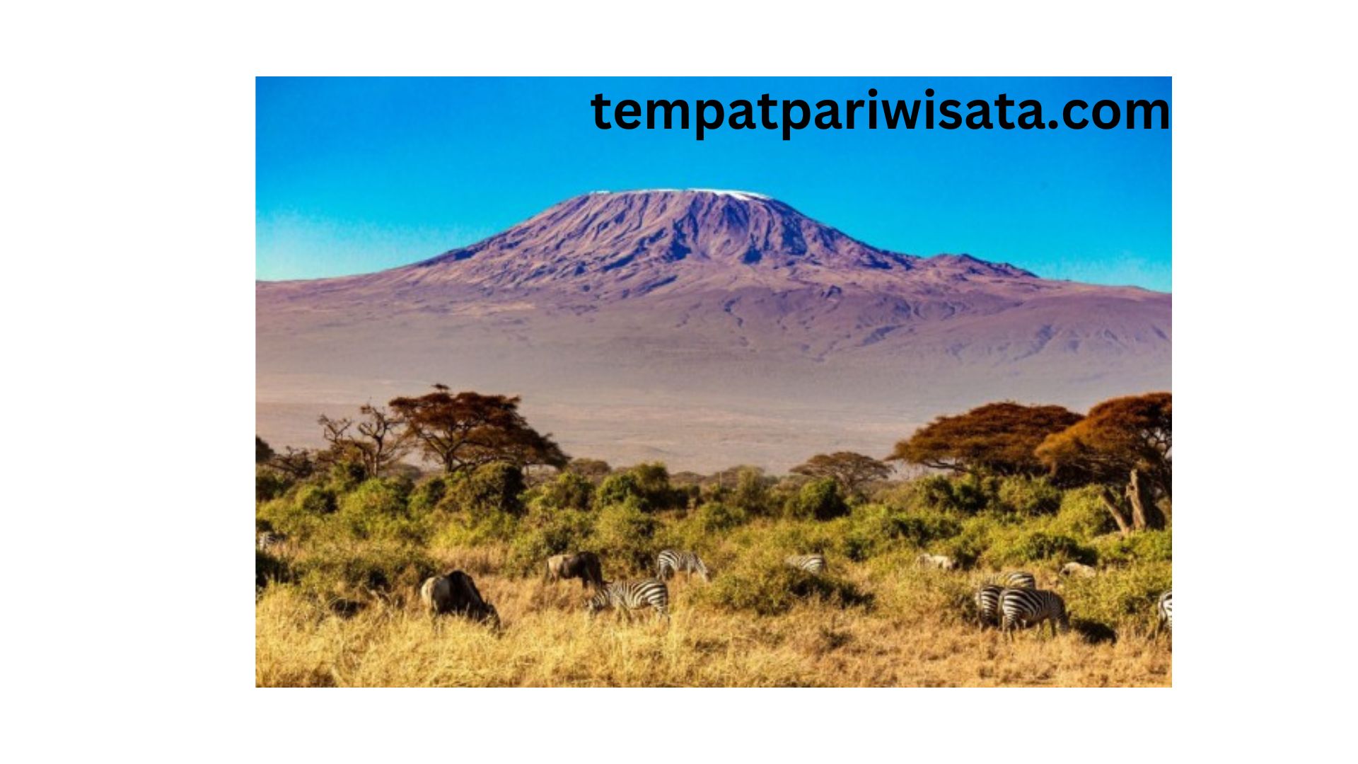 10 Tempat Wisata Terbaik di Tanzania yang Harus Dikunjungi